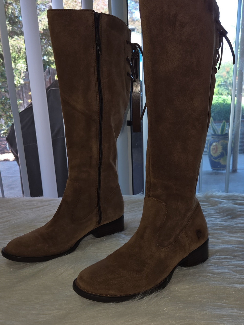 Born Over-the-Knee Suede Boots in Brown